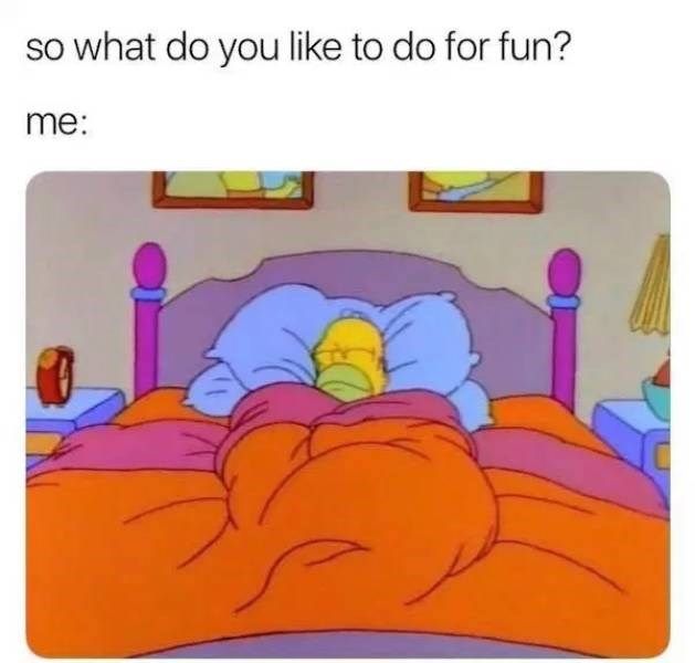 24 Adult Memes that Delight You -- Believe it or not, that's the free entertainment activity for every adults