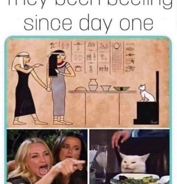 Future Memes You Need to Send to Your Best Friend Right Now