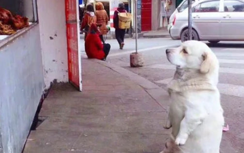 If You’ve Waited for Someone, Here’re Waiting Memes That Might Make You Laugh
