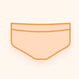 Briefs
